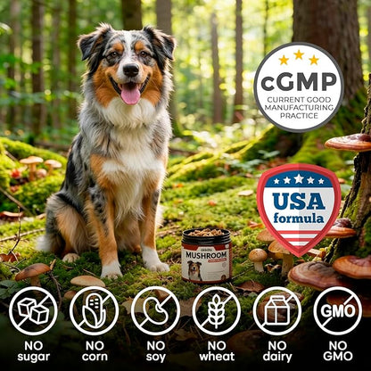 Premium Mushroom Chews for Dogs - 5-in-1 Turkey Tail, Lion’s Mane, Chaga, Reishi & Shiitake - Immune Support & Cognitive Health Mushroom Supplement for Dogs - for Heart, Liver & Brain Function