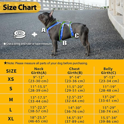 Huntboo Escape Proof Dog Harness, No Pull Reflective Harness with Lift Handle,Adjustable Pet Vest with Front and Back Leash Clips for Small Medium Large Dogs Walking Hiking Training (Sea Blue,L)