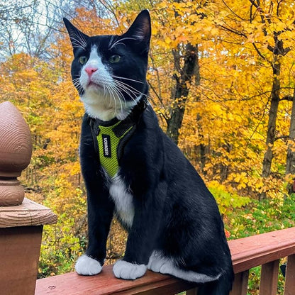 Voyager Escape-Proof Step-in Lock Cat Harness & 5ft Neoprene-Handle Leash Set All-Weather Mesh with Reflective Stitching for Small to Large Cats by Best Pet Supplies, Lime Green/Black Trim, XXXS