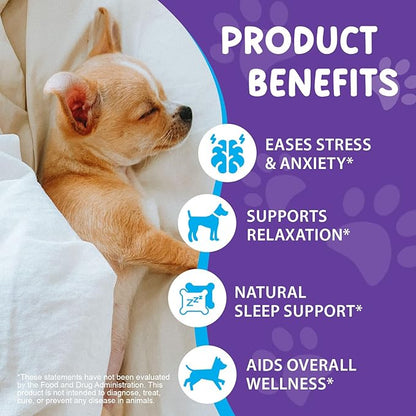 Melatonin for Dogs, Sleep Aid Drops Supports Dog Sleep, Dog Anxiety Relief, Calming Dogs & Regulates Sleep Patterns - Pet Supplies Supplement Liquid Vitamins, Bacon Flavour - 2 Fl Oz / 60ml
