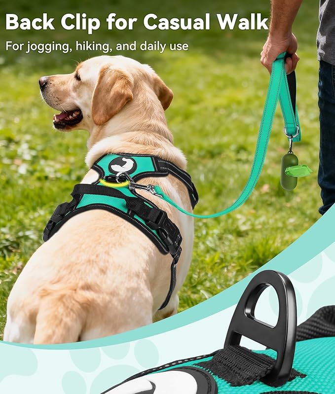 Joytale No Pull Dog Harness for Small Dogs, Reflective Pet Vest with Front Clip, Adjustable Soft Padded Harnesses with Easy Control Handle for Training and Walking, Teal, S