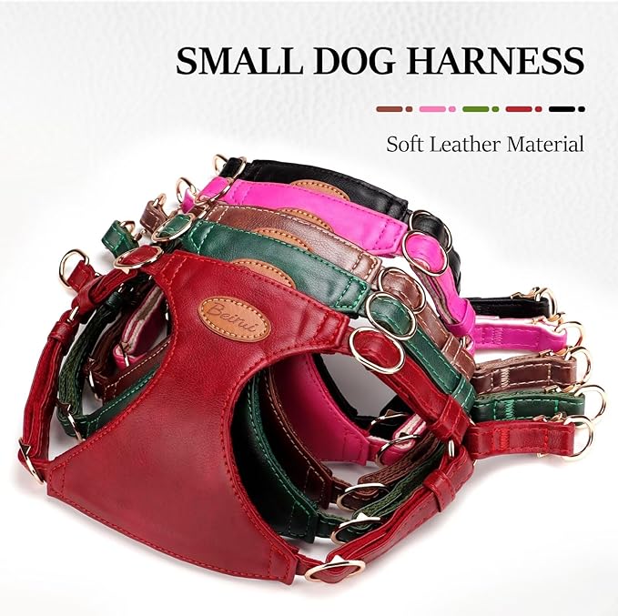 Beirui ‌Stylish PU Leather Dog Harness‌ and Leash Set for Small Dogs, ‌Adjustable Step in Dog Vest Harness with Breathable Mesh Lining and Durable Metal Buckle for Walking Traveling(Red,S)