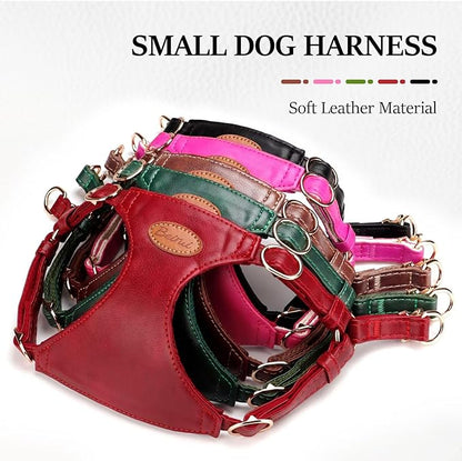 Beirui ‌Stylish PU Leather Dog Harness‌ and Leash Set for Small Dogs, ‌Adjustable Step in Dog Vest Harness with Breathable Mesh Lining and Durable Metal Buckle for Walking Traveling(Green,M)