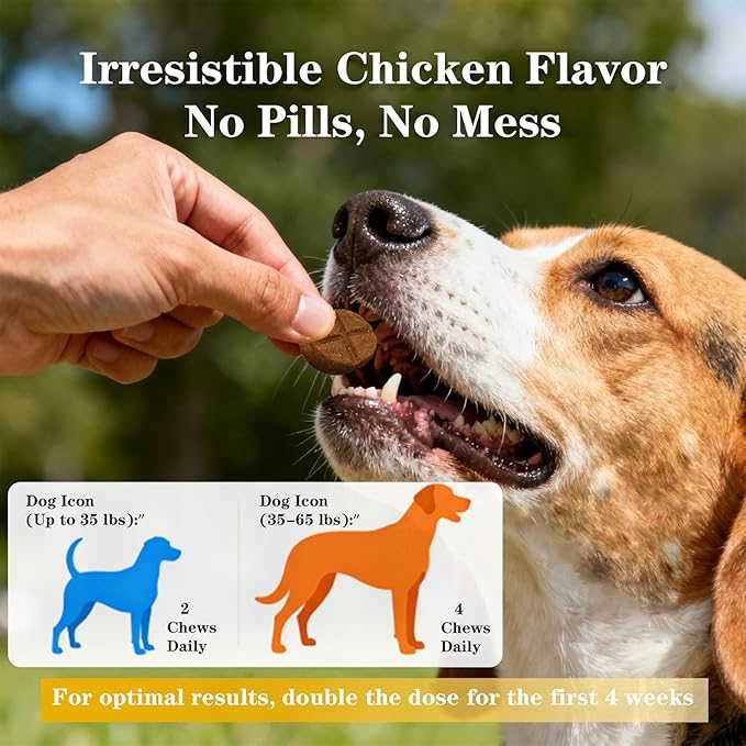 Advanced Dog Hip & Joint Chews - Concentrated with Glucosamine, Chondroitin, High-Potency MSM & 7X Omega-3-185 Chicken Chews for All Breeds - Supports Joint Pain Relief & Senior Dog Mobility