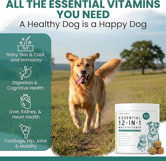 12-in-1 Dog Multivitamin Soft Chews, 120 Count - Vitamins & Supplements, Glucosamine Chondroitin, Probiotics, Omega 3 - Hip & Joint, Skin & Coat, Immune Support for Puppy & Senior Dogs - Chew + Heal