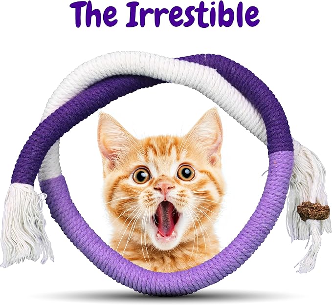 Cat Chew Rope - 3 Pack Cat Chew Ropes for Teeth Cleaning, Kitten Teething Toys with Stick to Transfer Chewing from Wires to Cotton String