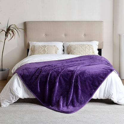 Waterproof Blanket for Bed Couch Sofa, Soft Liquid Pee Proof Pet Blanket for Dog Puppy Cat, Reversible Sherpa Fleece Furniture Protector (Dark Purple, 60x80 inches)
