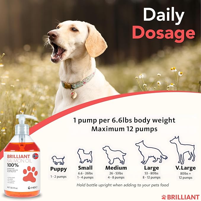 Brilliant Norwegian Salmon Oil for Dogs, Cats, Horse, Ferret - Pure Omega 3, 6 & 9 Fish Oil Food Treats Supplement for Natural Coat, Immune Support, Itchy Skin, Joint & Brain Health - 2x16.9 oz