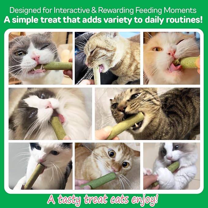 60g Cat Grass Sticks, Delicious Cat Grass Teething Stick Edible Cats Chew Toy Cat Treats Snack for Teeth Cleaning and Hairball Removal