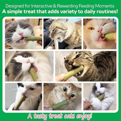 60g Cat Grass Sticks, Delicious Cat Grass Teething Stick Edible Cats Chew Toy Cat Treats Snack for Teeth Cleaning and Hairball Removal