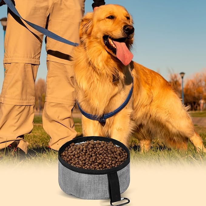 Meanplan 2 Pack Portable Dog Bowls Foldable Travel Dog Dish Portable Puppy Water and Food Bowl Pet Hiking Accessories for Small and Large Pets(Gray,40 oz)