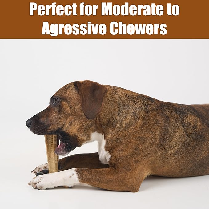 SPOT Bam-Bones Plus Coffee Wood T-Bone Dog Chew Toy, Chicken Flavor, Nylon and Coffee Wood Fiber Blend, Durable Chew for Heavy Chewers and Dogs Under 60 lbs, Non-Splintering Dental Chew, 6 Inch