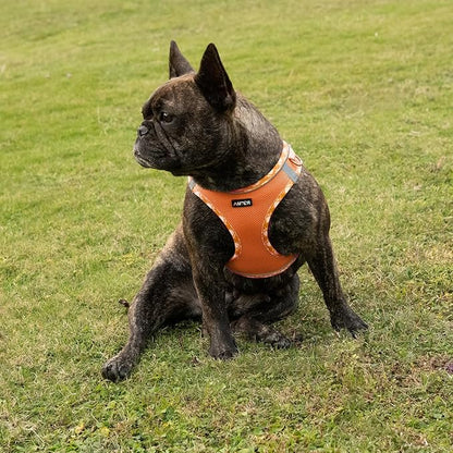 AMTOR Small Dog Harness with Leash Set, No Escape Easy Walk Puppy Harnesses for Training Walking, Step-in Reflective Soft Dogs Vest for XS S Medium Extra-Small Large Sized Dog(M Size,Orange/White)