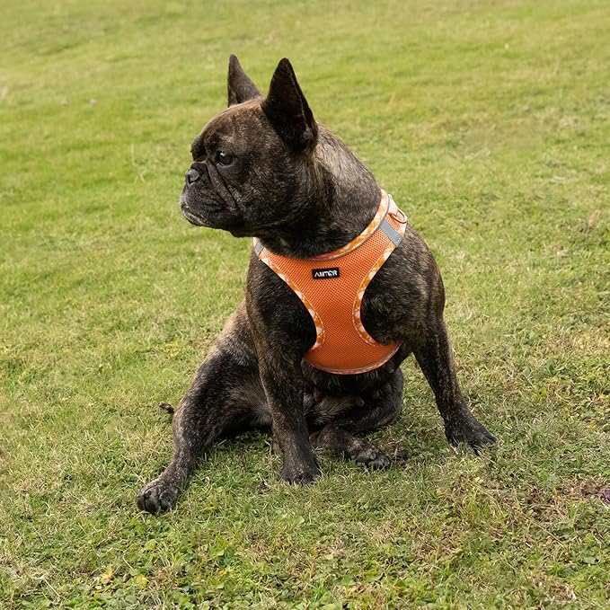 AMTOR Small Dog Harness with Leash Set, No Escape Easy Walk Puppy Harnesses for Training Walking, Step-in Reflective Soft Dogs Vest for XS S Medium Extra-Small Large Sized Dog(XXS Size,Orange/White)