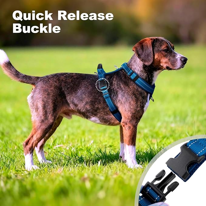 No Pull Dog Harness with Handle, Soft Mesh Padded Adjustable for Small Medium Large Dogs | Reflective Easy Walk Harness with Front Clip for Training, Running & Outdoor (Royal Blue, XS)