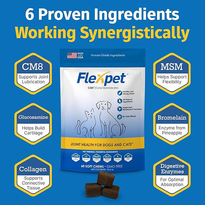 Hip & Joint Supplement for Dogs & Cats with Cetyl Myristoleate, Glucosamine, Collagen, MSM - Max Strength Joint Support for Mobility, Senior Pets, Large Breeds - 180 Soft Chews (Bacon/Cheese)