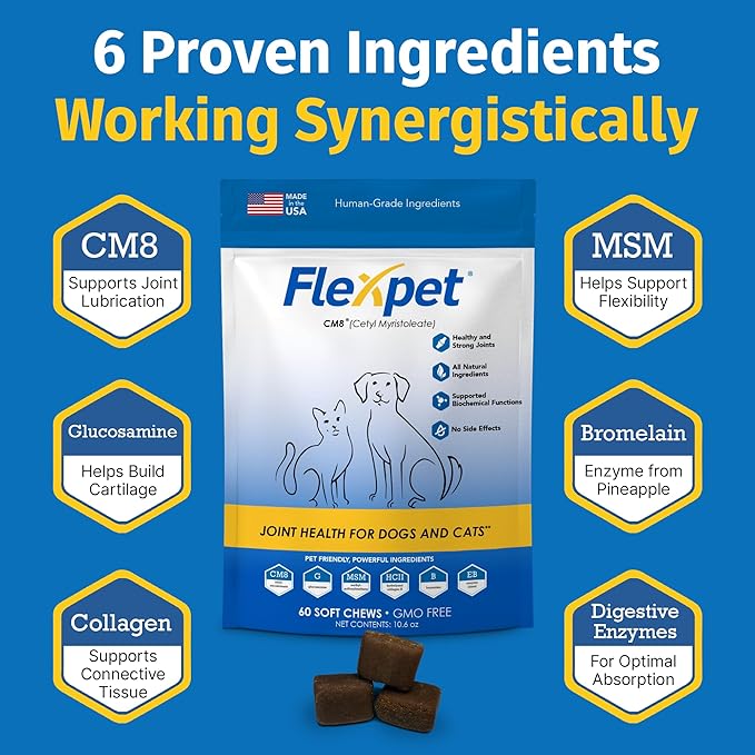 Hip & Joint Supplement for Dogs & Cats with Cetyl Myristoleate, Glucosamine, Collagen, MSM - Max Strength Joint Support for Mobility, Senior Pets, Large Breeds - Trial Pack (Bacon/Cheese)