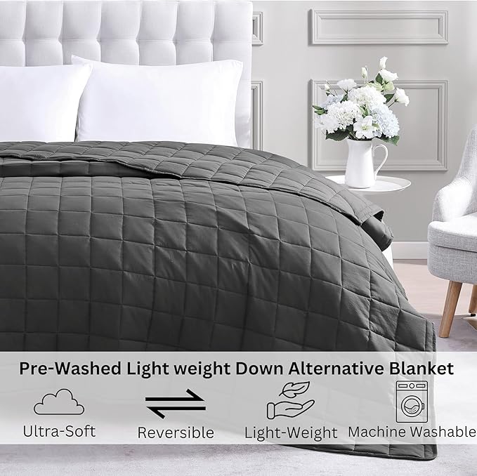 Casa Platino King Duvet Insert - Soft Blankets Lightweight King Size Bedding, Cooling Pre-Washed - Down Alternative Blanket - Charcoal