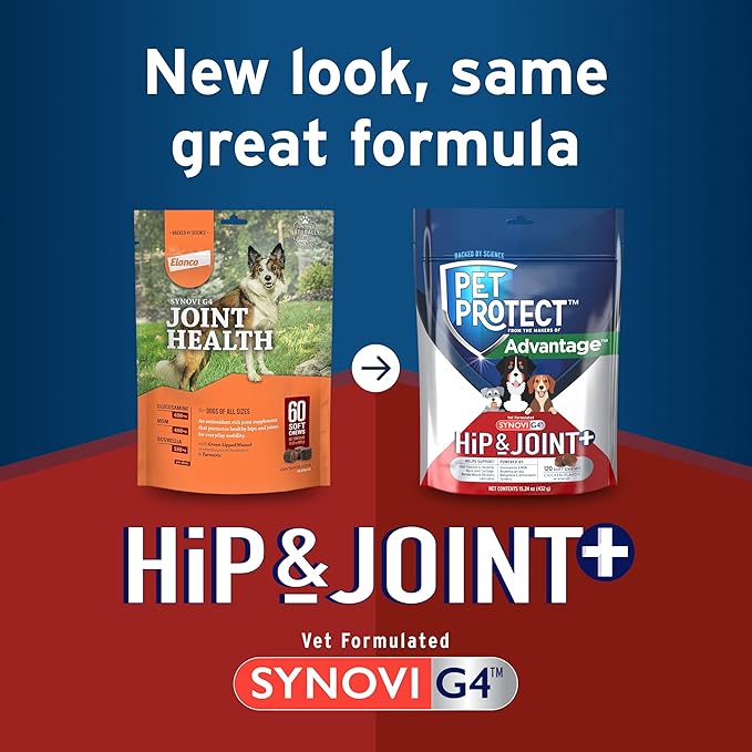 Pet Protect Dog Hip & Joint+ Supplement for Active & Aging Dogs, Vet-Formulated Synovi G4, Dog Glucosamine, Chicken-Flavored Soft Chews (120 Count)