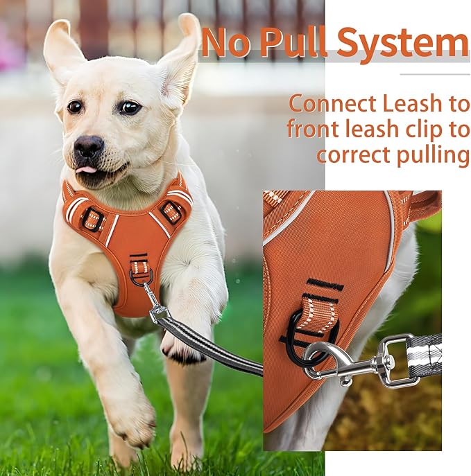 HEELE Dog Harness for Large Dogs No Pull Dog Vest Harness for Large Dog with Soft Padded Handle Reflective for Outdoor Training, Pumpkin Orange, XL