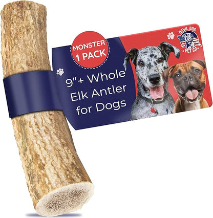 Devil Dog Pet Co - Elk Antler for Dogs Monster 12.5 oz Min - Long Lasting Dog Chew for XL & Giant Breed Power Chewers - Naturally Shed Grade A Rocky Mountain Elk, Anxiety & Boredom Relief (90+ lbs)