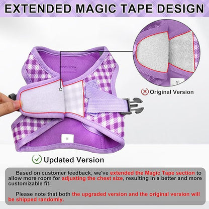 AIITLE Dog Harness and Leash Set, Reflective Adjustable Soft Mesh Vest with Plaid Print for Small Dogs – Breathable No-Pull Design for Daily Walks & Outdoor Adventures (XXS, Purple)