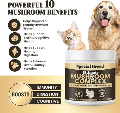 Mushroom Powder for Dogs & Cats - Organic Mushroom Complex for Immunity Support, Immune Function, Cognition, Vitality - Ten Mushroom Supplement with Turkey Tail, Lion's Mane, Reishi - 360 Scoops