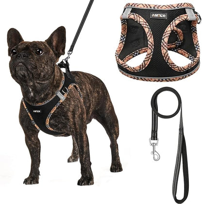 AMTOR Small Dog Harness with Leash Set, No Escape Easy Walk Puppy Harnesses for Training Walking, Step-in Reflective Soft Dogs Vest for XS S Medium Extra-Small Large Sized Dog(BlackYellow,L)