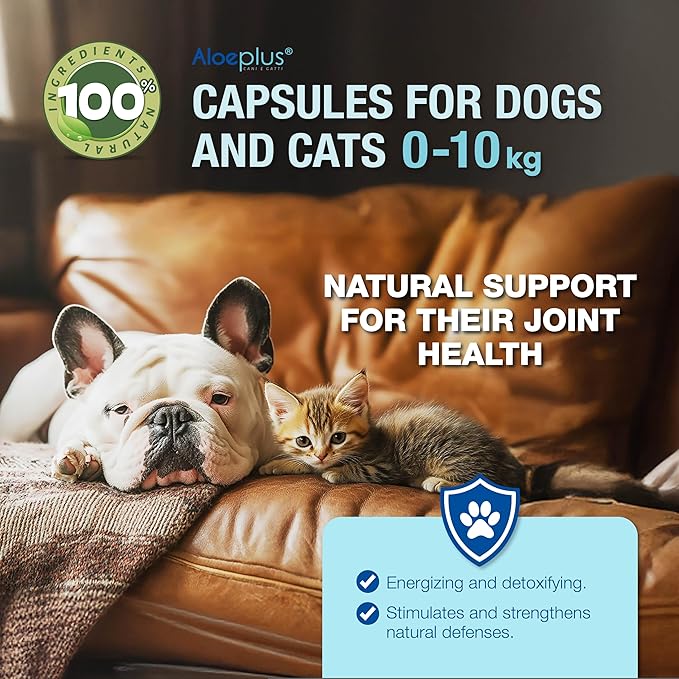 Cats & Dogs Capsules—an Energetic, detoxifying Supplement with Organic Aloe Arborescens. Supports Immunity for Puppies, Adult and Senior Pets, Helps Improve Appetite. 60 Capsules