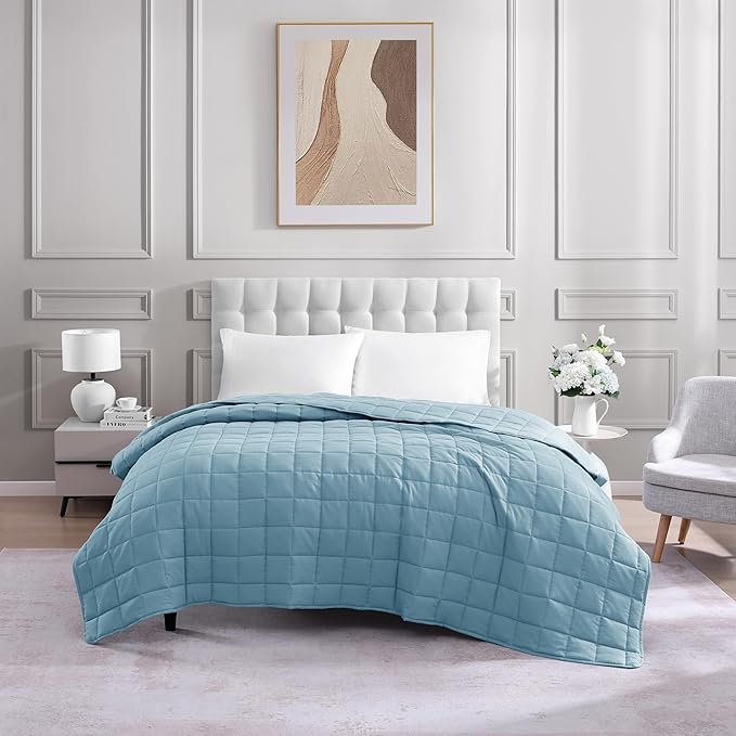 Casa Platino Quilted Blanket Full Size - Pre Washed - Soft & Lightweight- All Season - Premium Microfiber Down Alternative Bed Blankets - French Blue