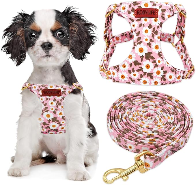 No Pull Dog Harness Adjustable Small Dog Harness and Leash Set, Lightweight and Soft Dog Harness No Choke Escape Proof Pet Harness Vest (Pink Daisy, X-Small)