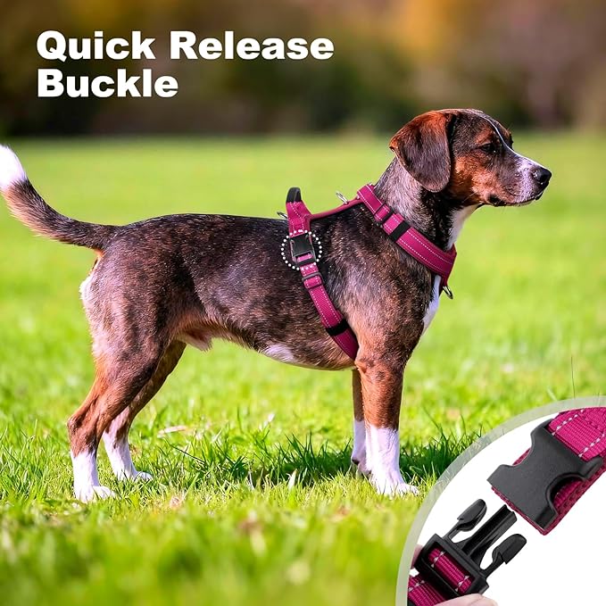 No Pull Dog Harness with Handle, Soft Mesh Padded Adjustable for Small Medium Large Dogs | Reflective Easy Walk Harness with Front Clip for Training, Running & Outdoor (Hot Pink, S)