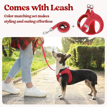 rabbitgoo Dog Harness Small Sized and Leash Set, Step in Soft Light Puppy Vest, Breathable Mesh Pet Harness, Reflective for Outdoor Safe Walking, Red XXL