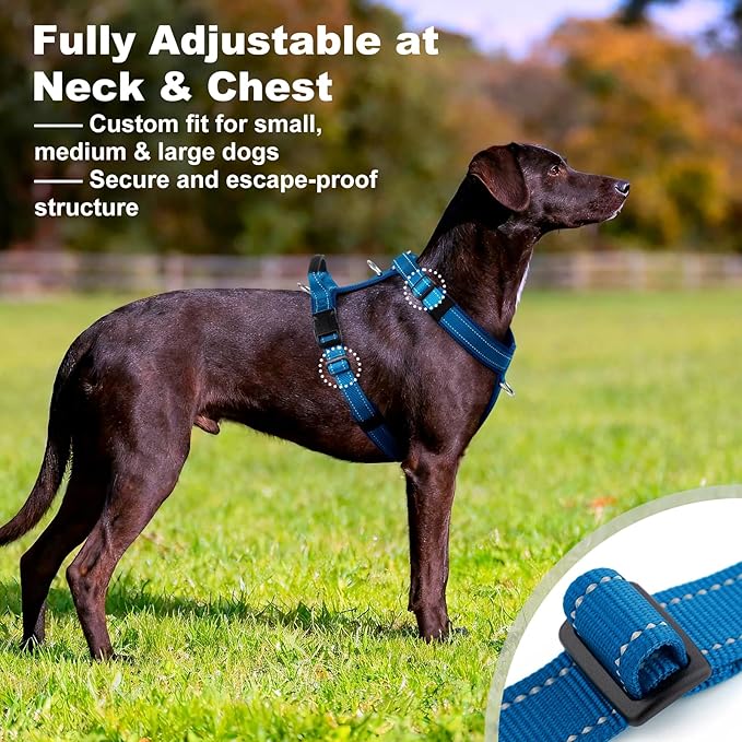 No Pull Dog Harness with Handle, Soft Mesh Padded Adjustable for Small Medium Large Dogs | Reflective Easy Walk Harness with Front Clip for Training, Running & Outdoor (Royal Blue, XL)