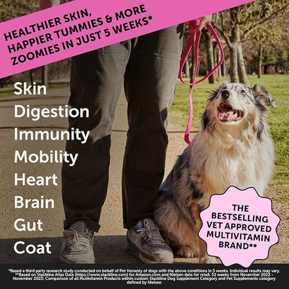 Dog Multivitamin Max Strength, 15-in-1 Multivitamin for Dogs – Dog Vitamins & Supplements with Glucosamine, Probiotics & Omega 3s – Supports Joint, Heart, Immune, Skin & Coat Health – Chicken (90 Ct)