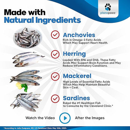 Omega 3 Fish Oil for Cats - Better Than Salmon Oil - Kitten & Cat Vitamins and Supplements - Cat Dandruff Treatment - Liquid Fish Oil for Pets - Shedding Support - Cat Health Supplies for All Ages