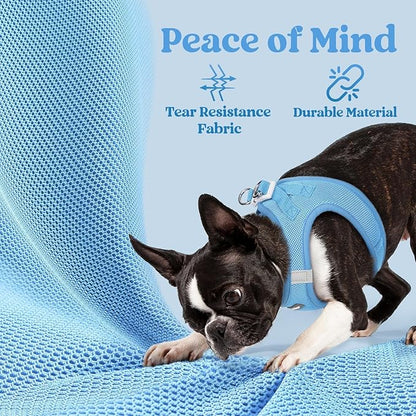 rabbitgoo Small Dog Harness, Step-in Soft Mesh Puppy Vest with Safety Buckle, Breathable Reflective Pet Harness for Small Sized Dogs, Blue S