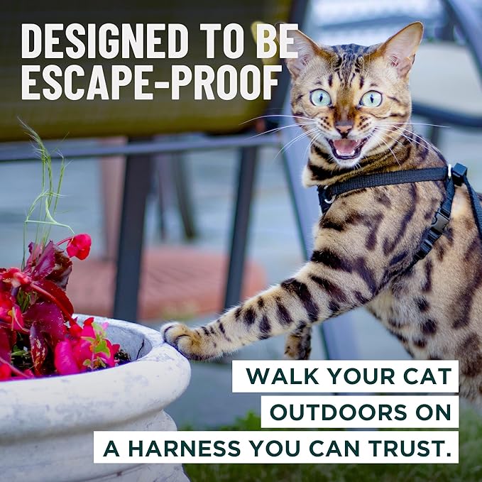 Houdini™ Escape Proof Cat Harness and Leash Set by OutdoorBengal – Tactical Vest for Walking – Comfy, Adjustable and Lightweight - Houdini Cat Harness Escape Proof for Cats + Cat Leash (Pink, M)