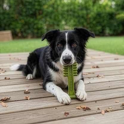 SPOT Bam-Bones Plus Toothbrush Dog Chew Toy for Medium Dogs 30-60 lbs, Bamboo & Nylon Dental Chew with Mint & Baking Soda, T-Bone Shape for Moderate to Heavy Chewers, 6 Inch