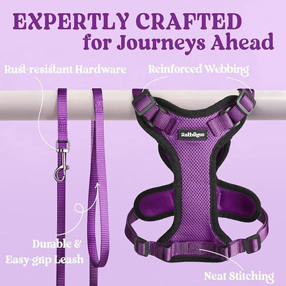 rabbitgoo Cat Harness and Leash for Walking, Escape Proof Soft Adjustable Vest Harnesses for Cats, Easy Control Breathable Reflective Strips Jacket, Purple, XXS