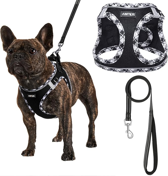 AMTOR Small Dog Harness with Leash Set, No Escape Easy Walk Puppy Harnesses for Training Walking, Step-in Reflective Soft Dogs Vest for XS S Medium Extra-Small Large Sized Dog(Blackwhite,XXS)