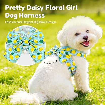 BAEJMJK Dog Harness and Leash Set with Bow Knot No Pull Pet Daisy Floral Harness with D-Ring Soft Mesh Dog Harness Vest Set Escape Proof Princess Puppy Harness for Small Girl Dogs Cats（Green S）