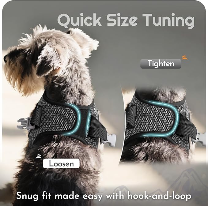 Eagloo Small Dog Harness and Leash Set, Step in Puppy Vest with Breathable Soft Mesh, Walking Reflective Pet Harness for Extra Small Dogs, Gray, XXS