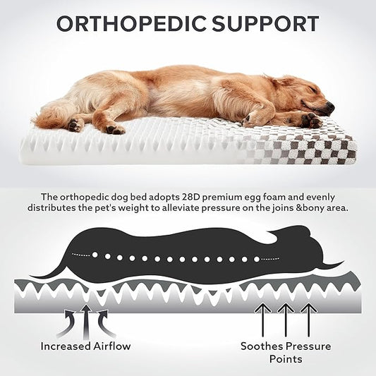 JOEJOY Dog Bed for Large Dogs, XLarge Orthopedic Dog Bed with Removable Washable Cover, Cute Modern Plush & Memory Egg Crate Foam Dog Bed, 42 x 28 inch, Cofffee