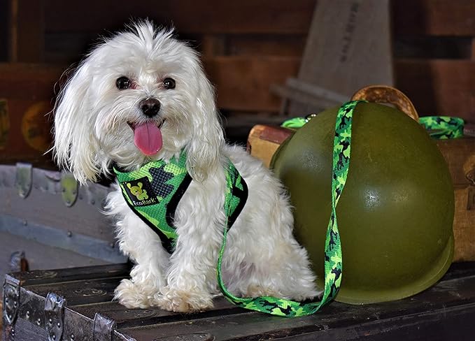 EcoBark Dog Harness - Eco-Friendly Max Comfort Harnesses - Luxurious Soft Mesh Halter - Over The Head Harness Vest- No Pull and No Choke for Small, Toy Breed, and Teacup Dogs (XS, Camo)