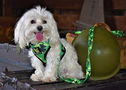 EcoBark Dog Harness - Eco-Friendly Max Comfort Harnesses - Luxurious Soft Mesh Halter - Over The Head Harness Vest- No Pull and No Choke for Small, Toy Breed, and Teacup Dogs (XS, Camo)