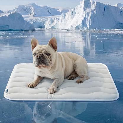 Bedsure Cooling Mat Medium Size Dog - Q-Max>0.4 Thin Breathable Cooling Crate Pad Indoor for Pet with Chill Cool Fiber as Cooling Topper，Portable Washable Kennel Mat in Outdoor Summer, 29x21, Grey
