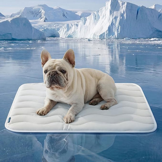 Bedsure Cooling Mat Medium Size Dog - Q-Max>0.4 Thin Breathable Cooling Crate Pad Indoor for Pet with Chill Cool Fiber as Cooling Topper，Portable Washable Kennel Mat in Outdoor Summer, 29x21, Grey