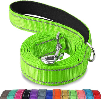 Joytale Dog Leash, 5 FT Double-Sided Reflective, Padded Handle Nylon Heavy Duty Leashes for Medium & Large Dogs Walking, Green