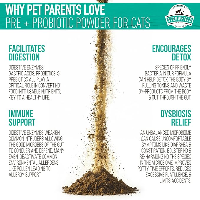 Strawfield Pets' Pre + Probiotic Powder for Cats with Catnip Probiotic for Cats Constipation, Diarrhea, Digestion Relief Immune Support Supplement Natural Chicken Liver Flavor 120 Grams / 120 Scoops
